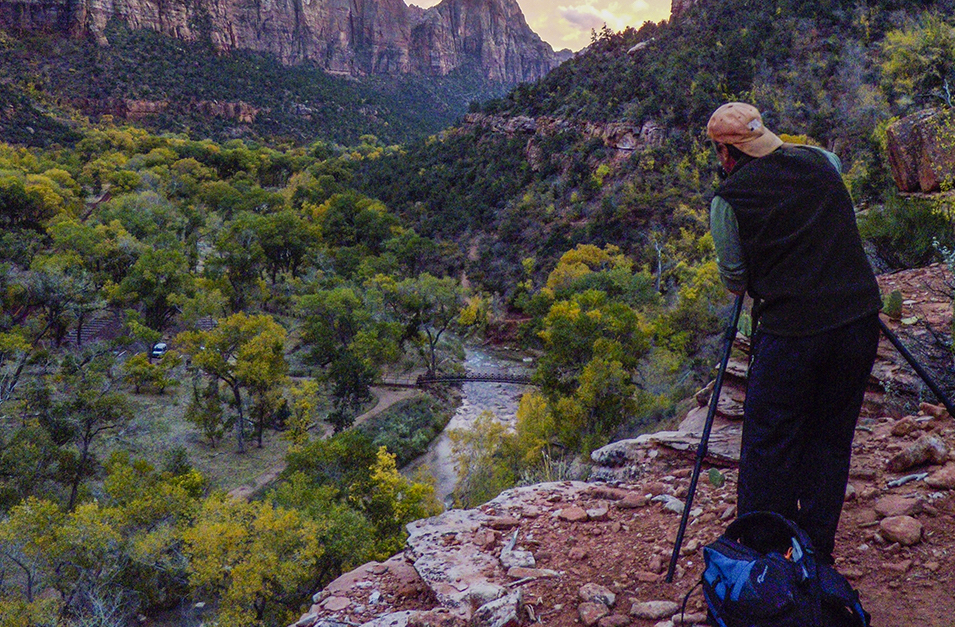 Zion in the Off-Season