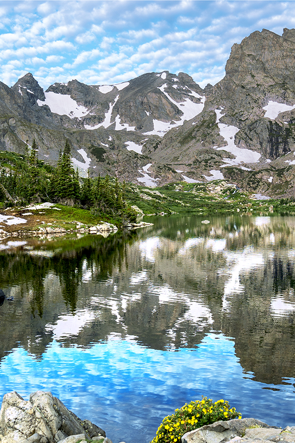 Lake Isabelle, Potentilla