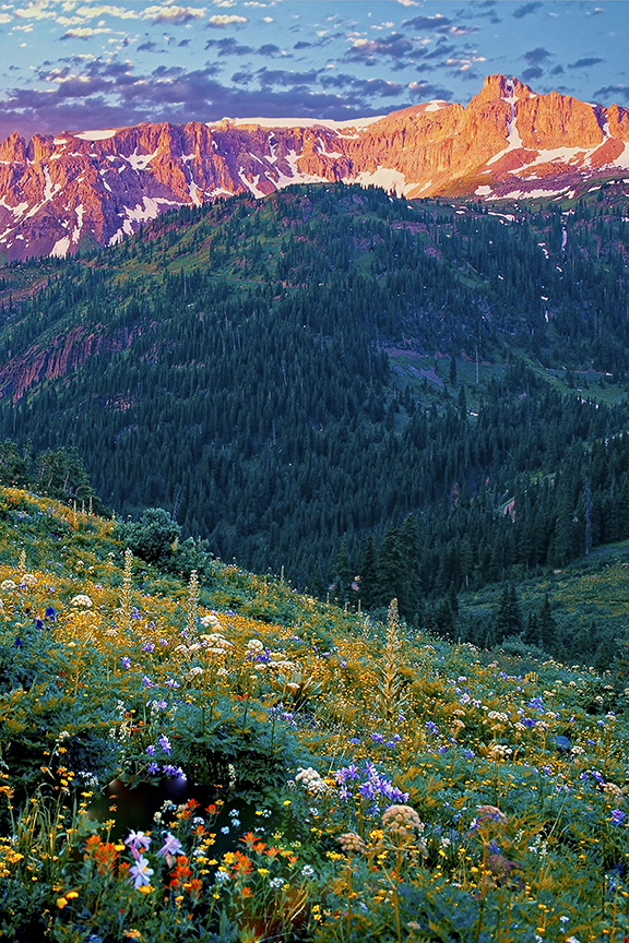 Yankee Boy Basin