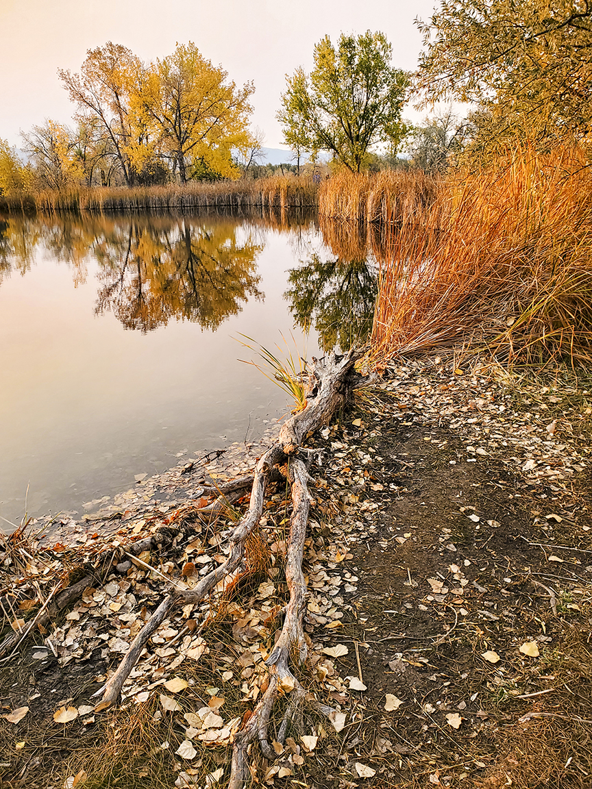 Walden Ponds II