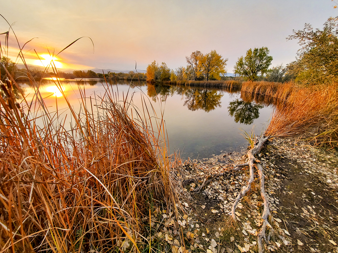 Walden Ponds, Standard