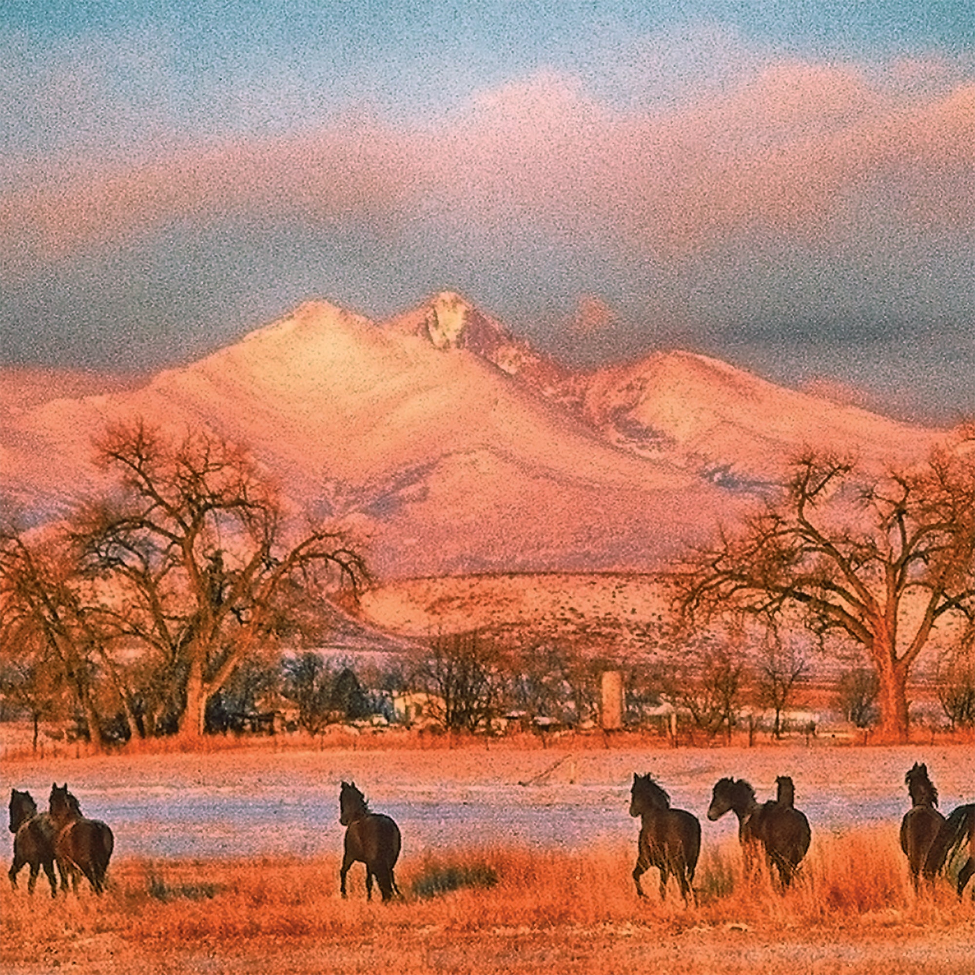 Boulder Colorado Photography | Longs Peak - Horses Running | Robert Castellino Photography