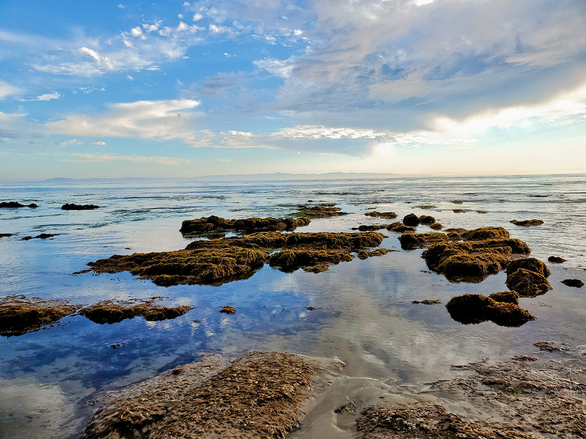 Santa Barbara Photography | Heavenly Tide Pool Reflection - Henry's Beach | Robert Castellino Photography