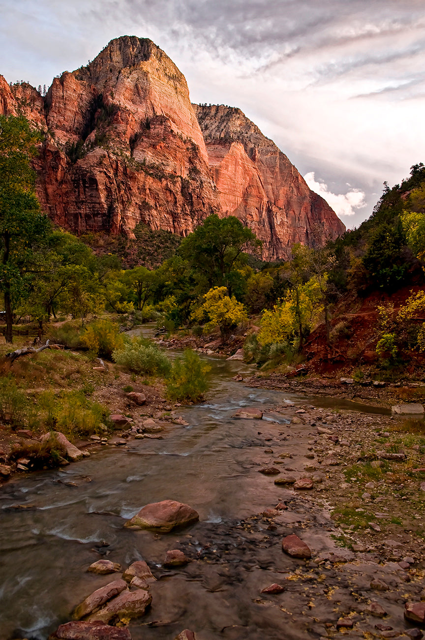 Zion National Park | Down Valley Vista   Reflecting Pools Trail