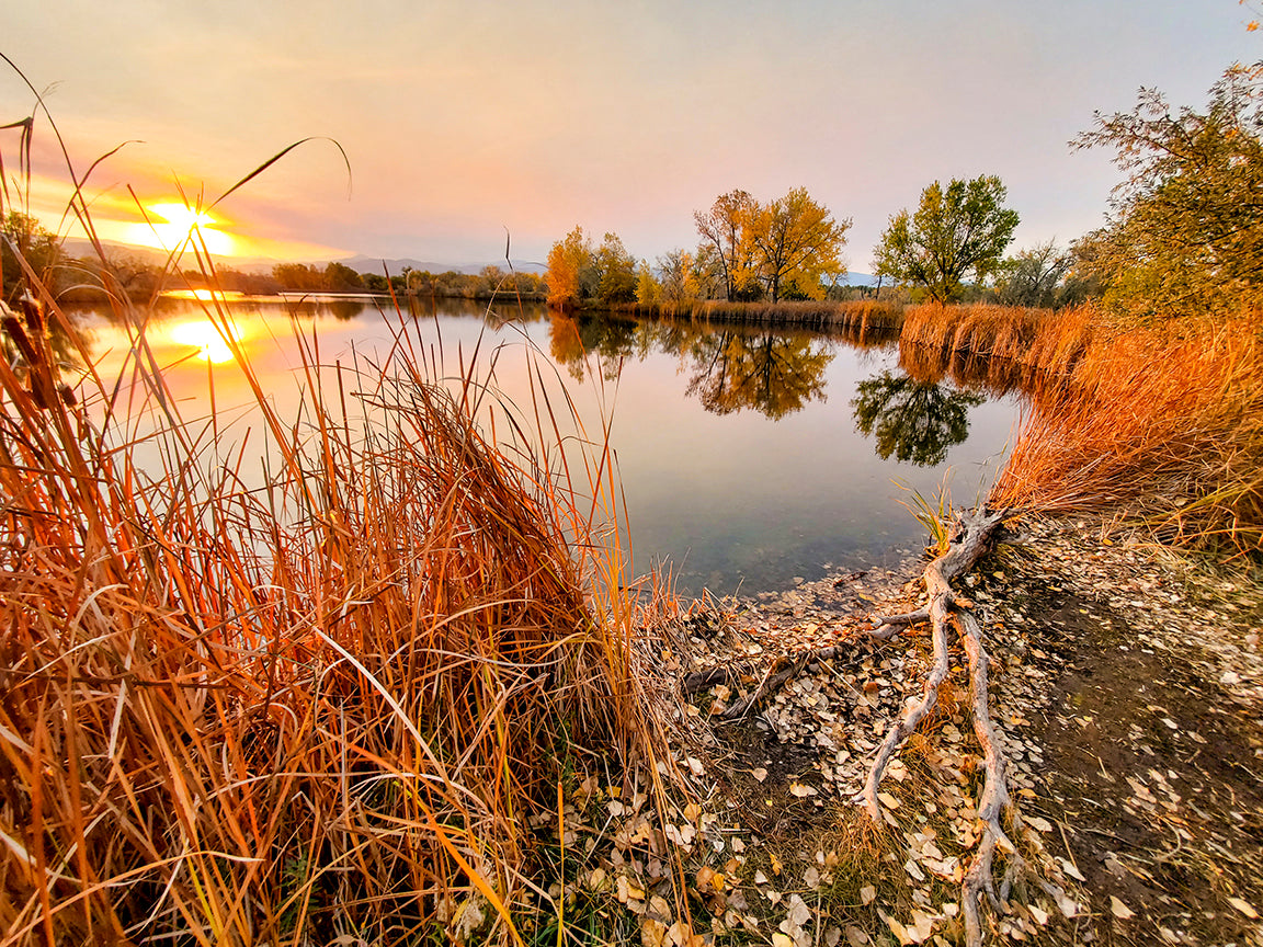 Boulder County Parks | Fall Light   Walden Ponds Sunset Reflection